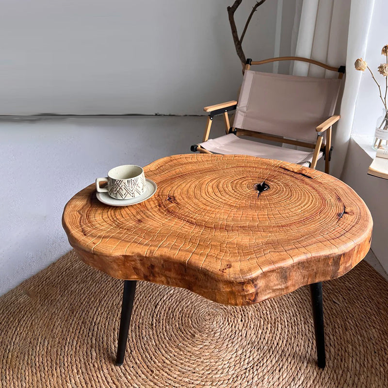 Irregular Shape Log Coffee Table Natural Edge Side Table